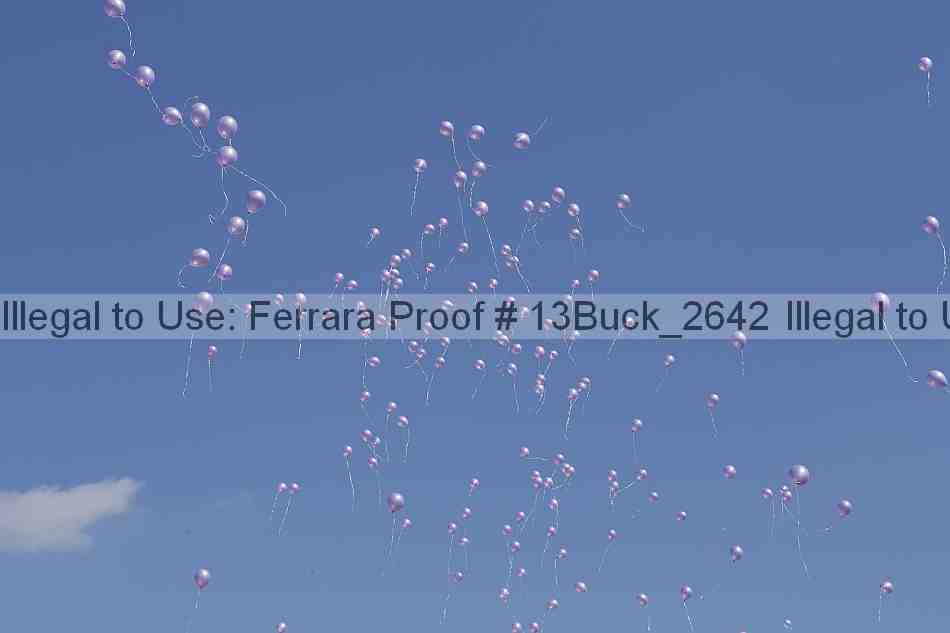 Proof 13buck_2642