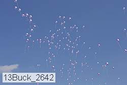 13buck_2642 proof