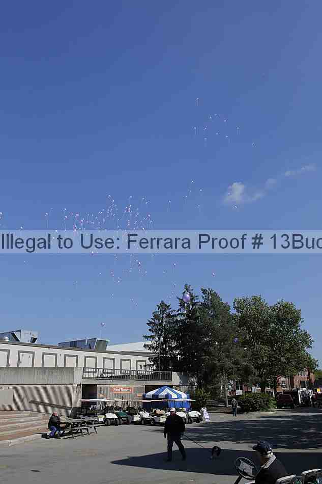 Proof 13buck_2643