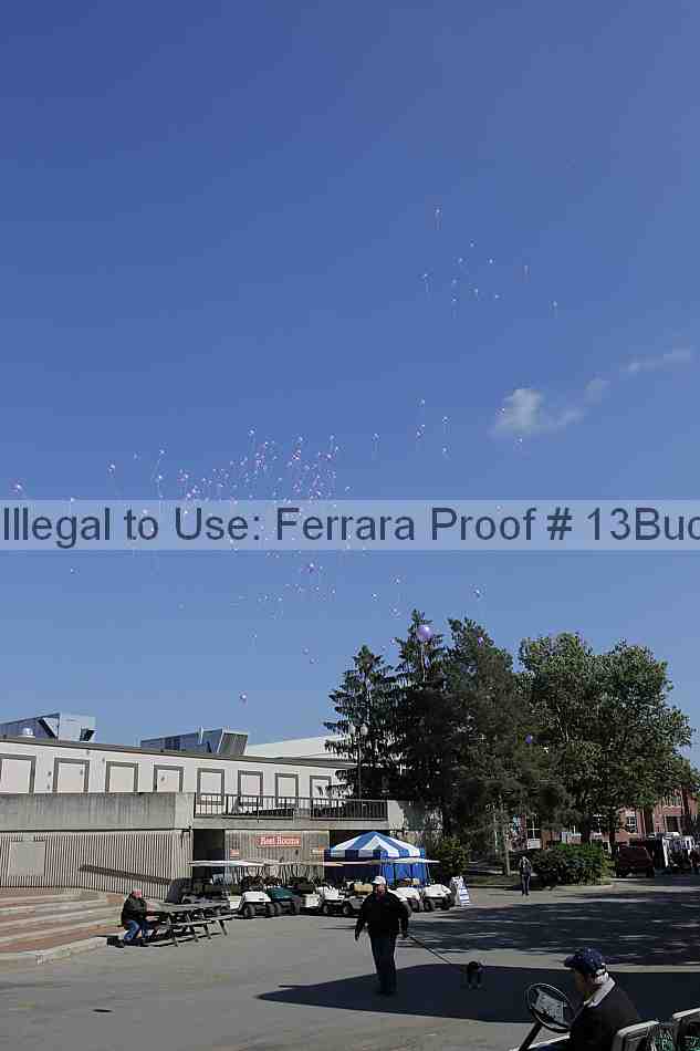Proof 13buck_2644