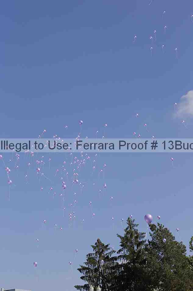 Proof 13buck_2645