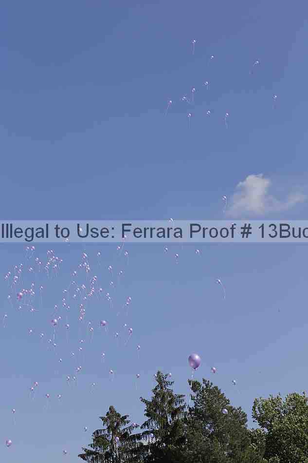 Proof 13buck_2646