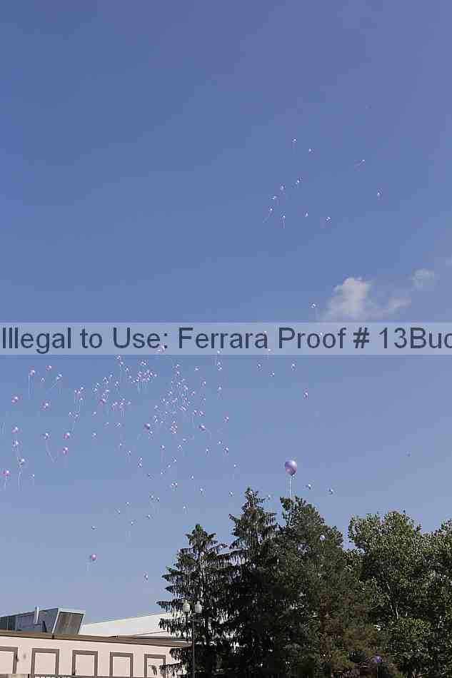 Proof 13buck_2647