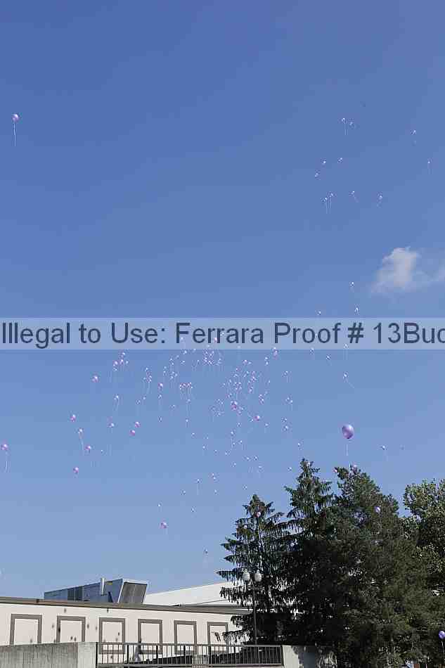 Proof 13buck_2648
