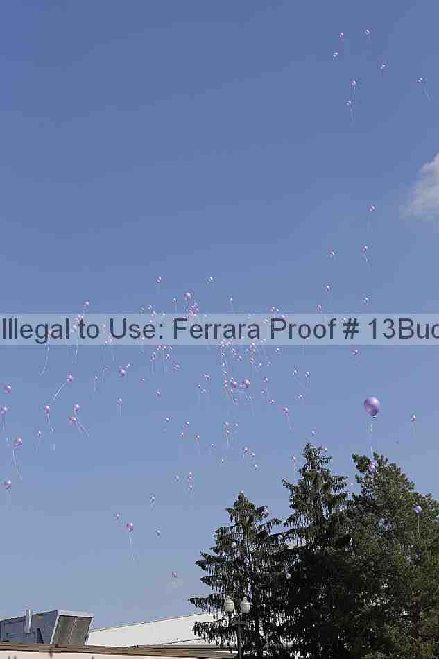 Proof 13buck_2649