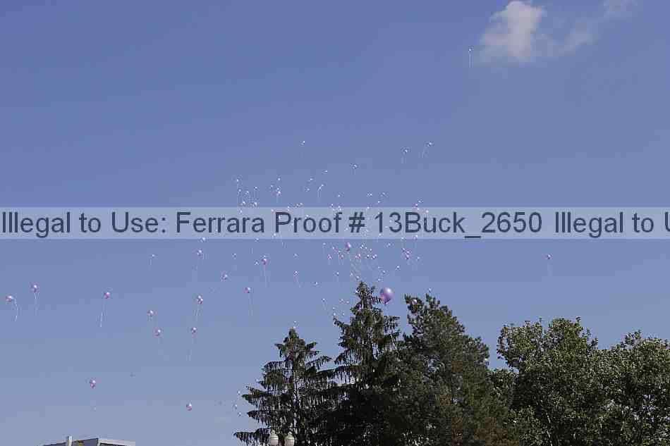 Proof 13buck_2650