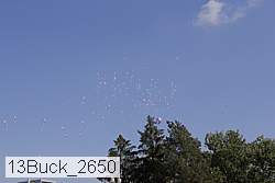 13buck_2650 proof