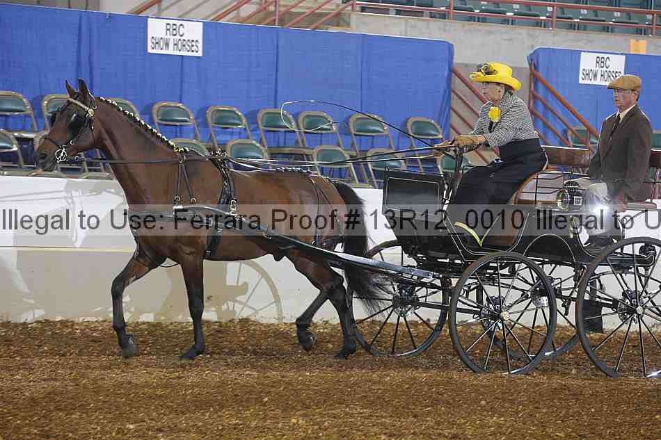 Proof 13r12_0010