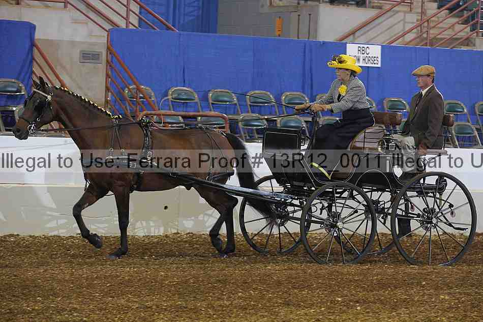 Proof 13r12_0011