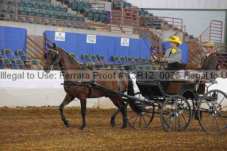Proof 13r12_0026