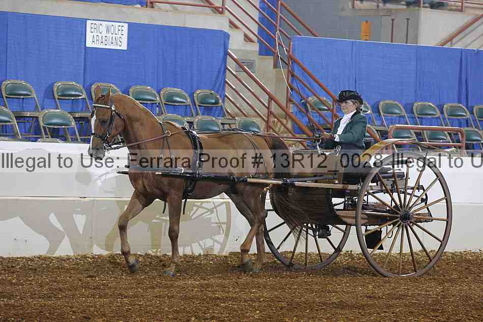 Proof 13r12_0028