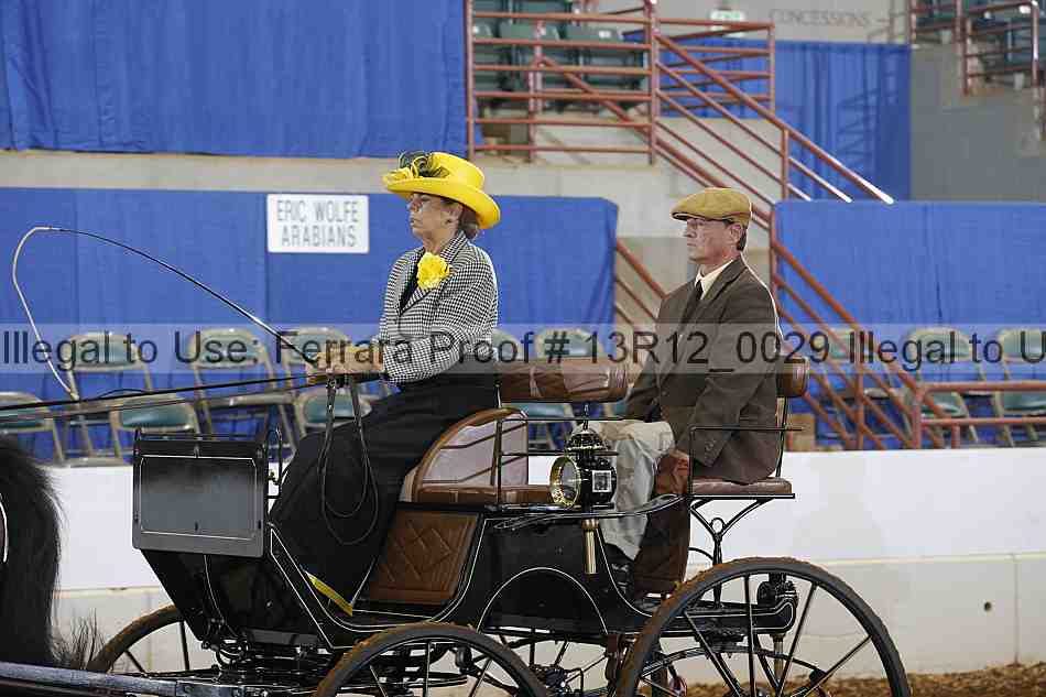 Proof 13r12_0029