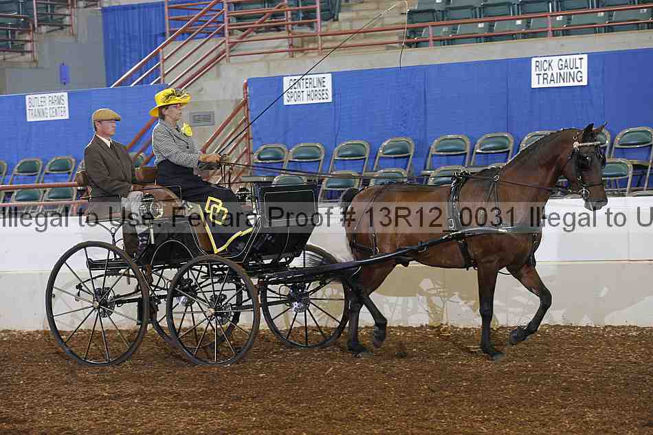 Proof 13r12_0031