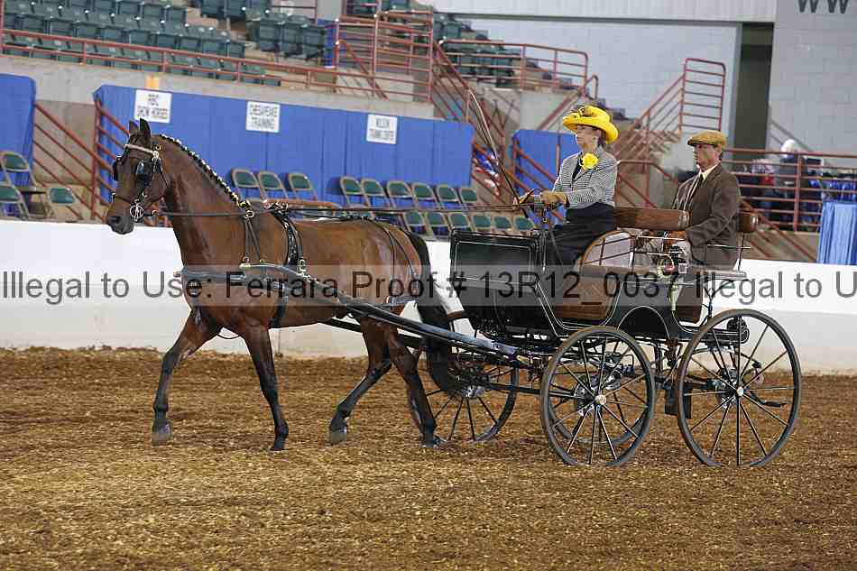 Proof 13r12_0037