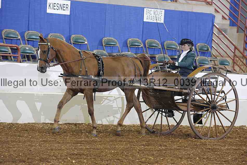 Proof 13r12_0039