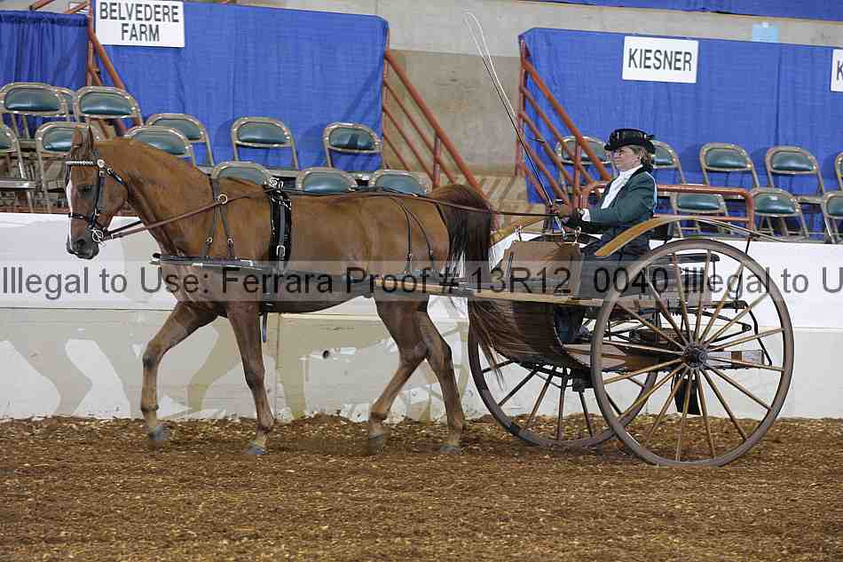 Proof 13r12_0040
