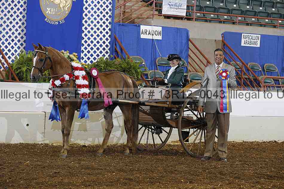 Proof 13r12_0043