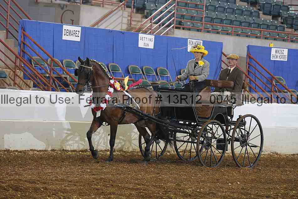 Proof 13r12_0045