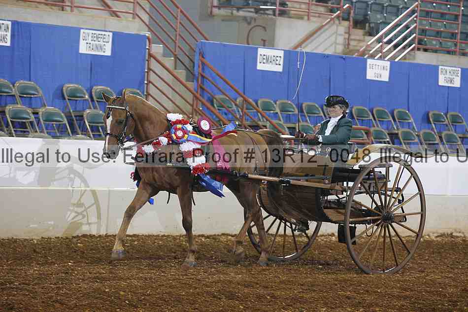 Proof 13r12_0048
