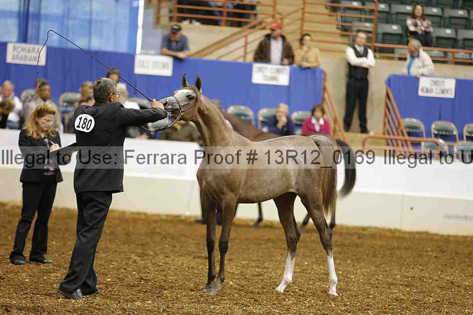 Proof 13r12_0169