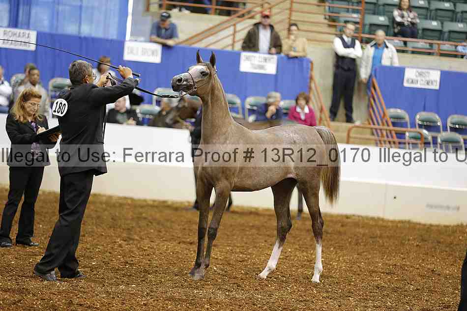 Proof 13r12_0170