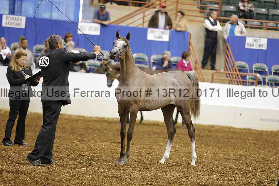 Proof 13r12_0171