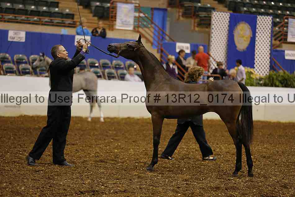 Proof 13r12_0174