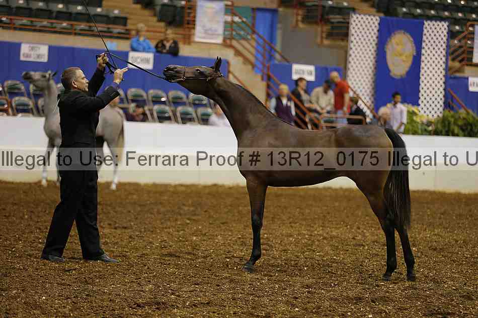 Proof 13r12_0175