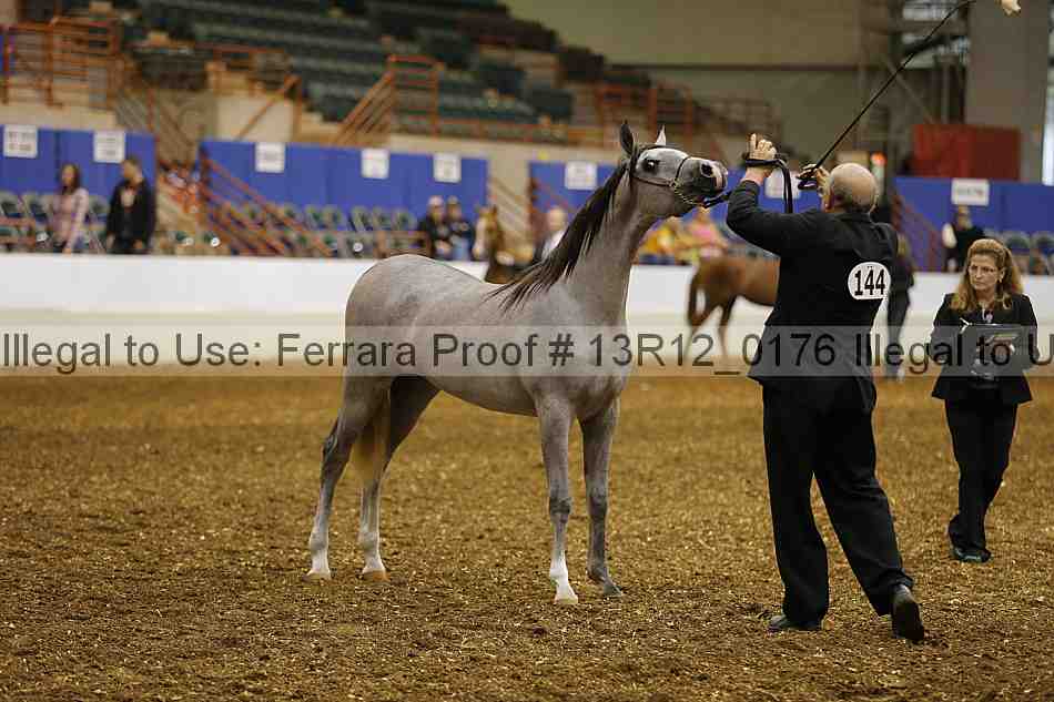 Proof 13r12_0176