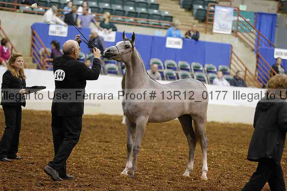 Proof 13r12_0177