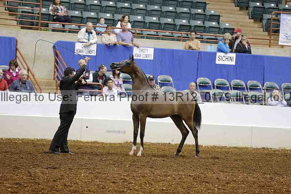 Proof 13r12_0179
