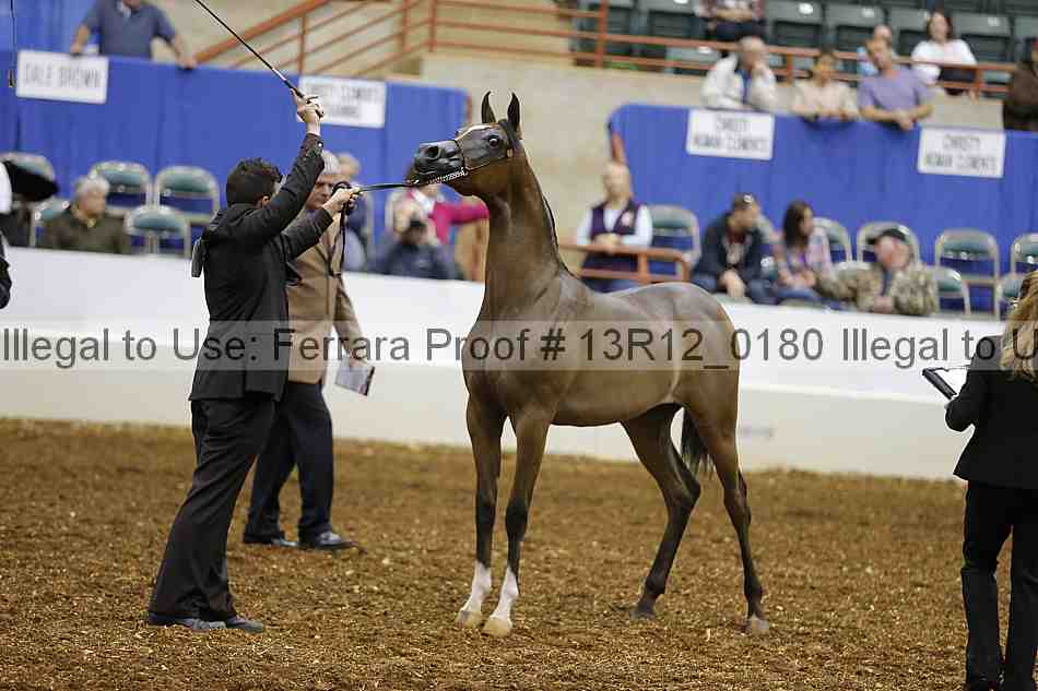Proof 13r12_0180
