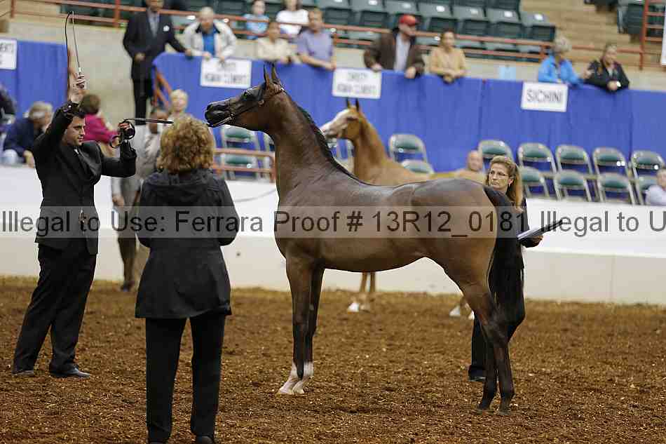 Proof 13r12_0181