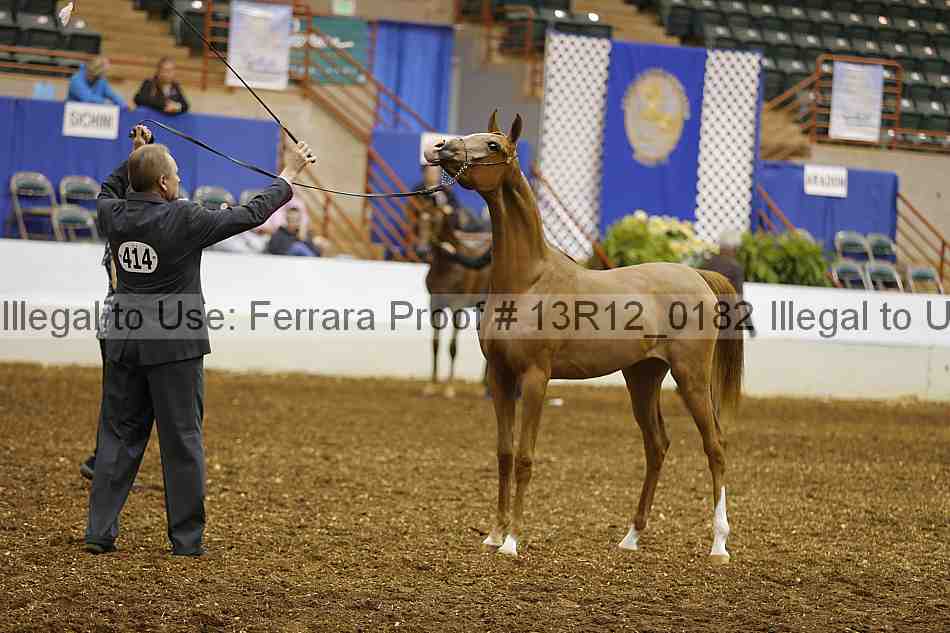 Proof 13r12_0182