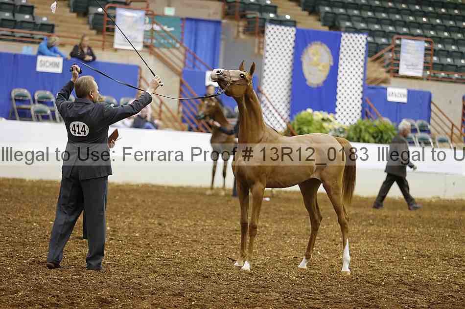 Proof 13r12_0183