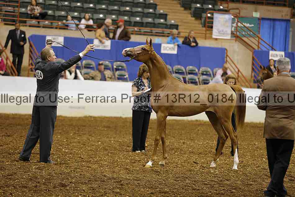 Proof 13r12_0184