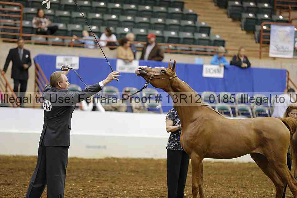 Proof 13r12_0185