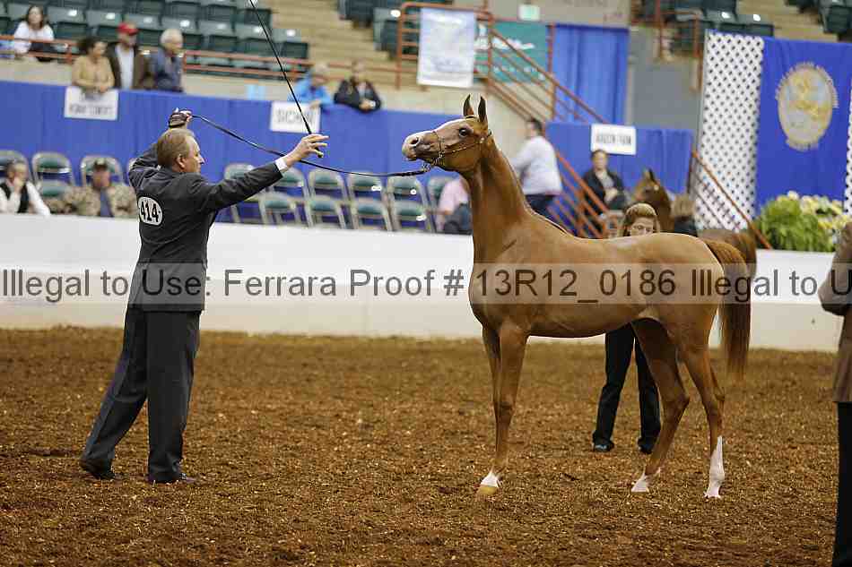 Proof 13r12_0186