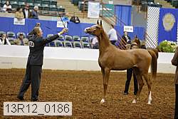 13r12_0186 proof