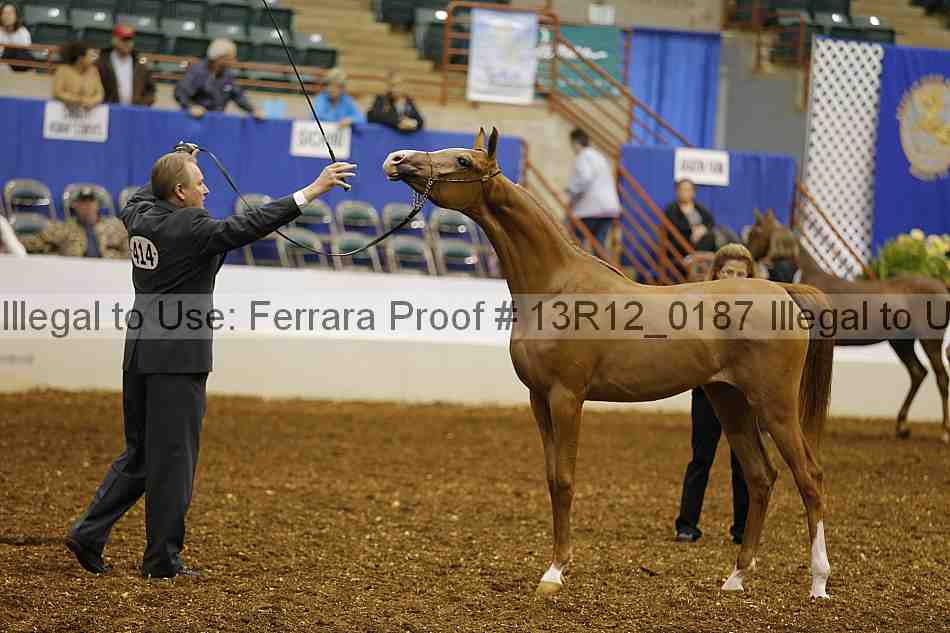 Proof 13r12_0187