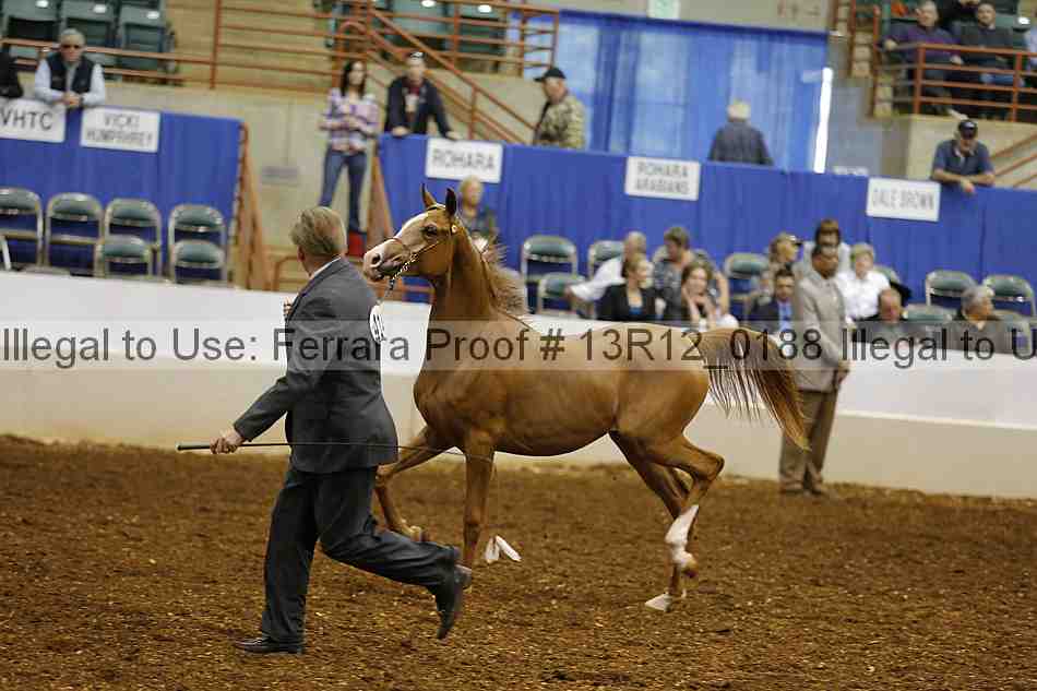 Proof 13r12_0188