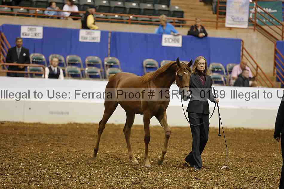 Proof 13r12_0189
