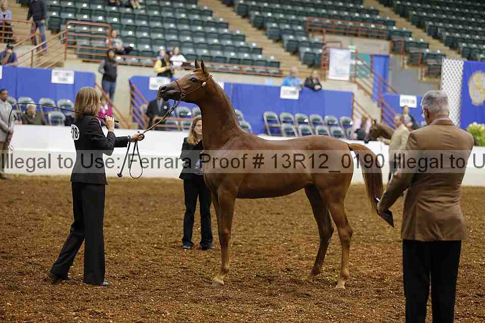 Proof 13r12_0190
