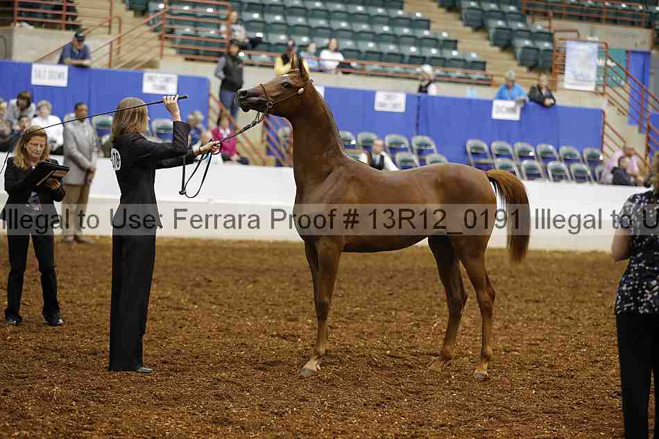 Proof 13r12_0191