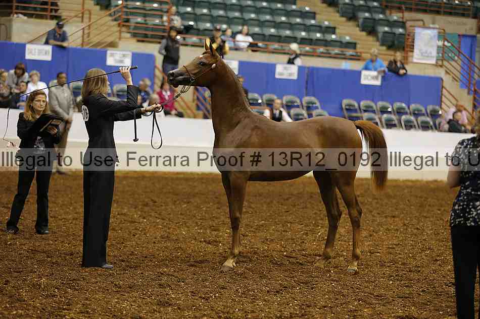 Proof 13r12_0192