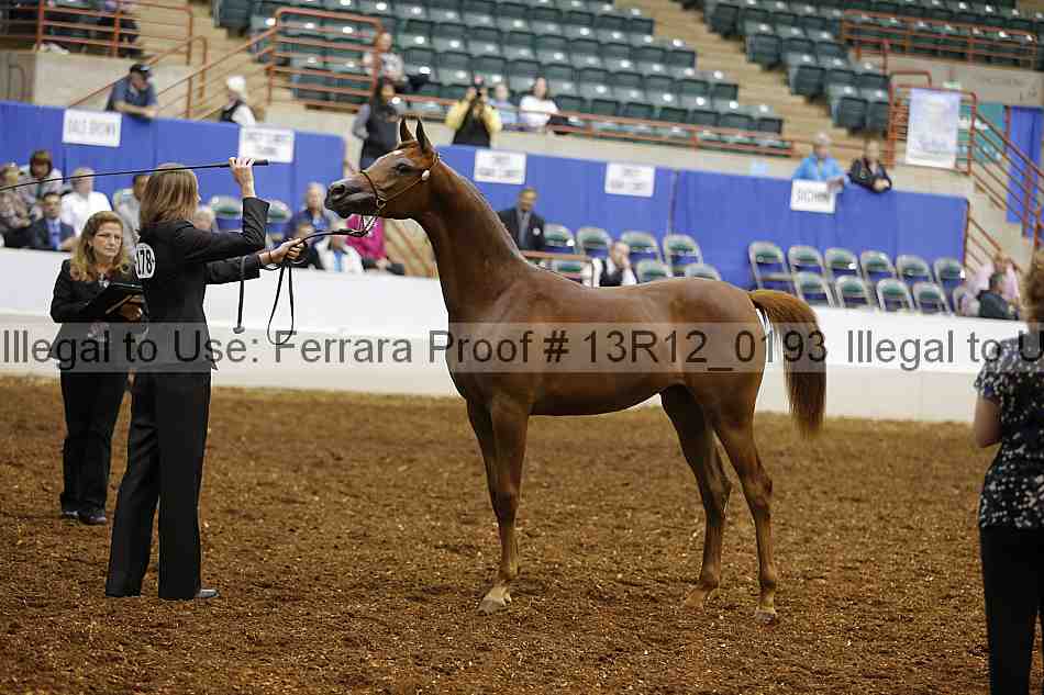 Proof 13r12_0193