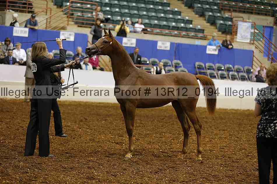Proof 13r12_0194