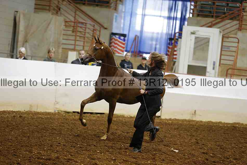 Proof 13r12_0195
