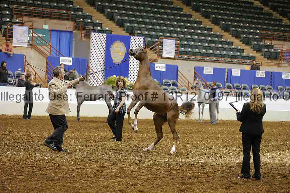 Proof 13r12_0197