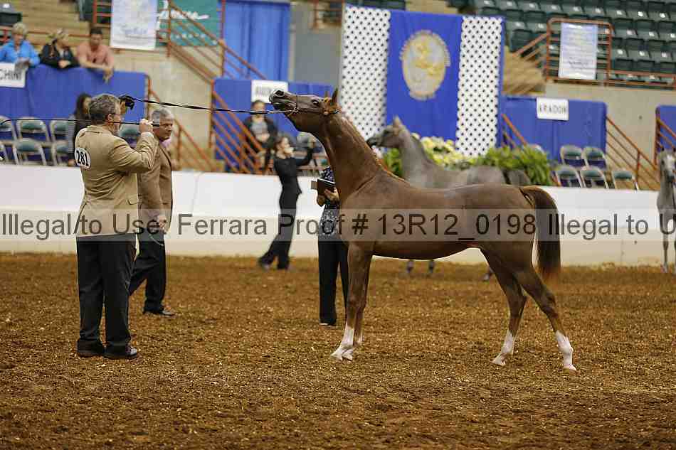 Proof 13r12_0198